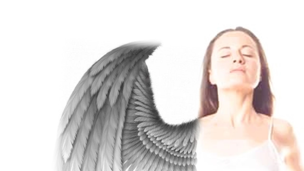 wings-of-desire_main