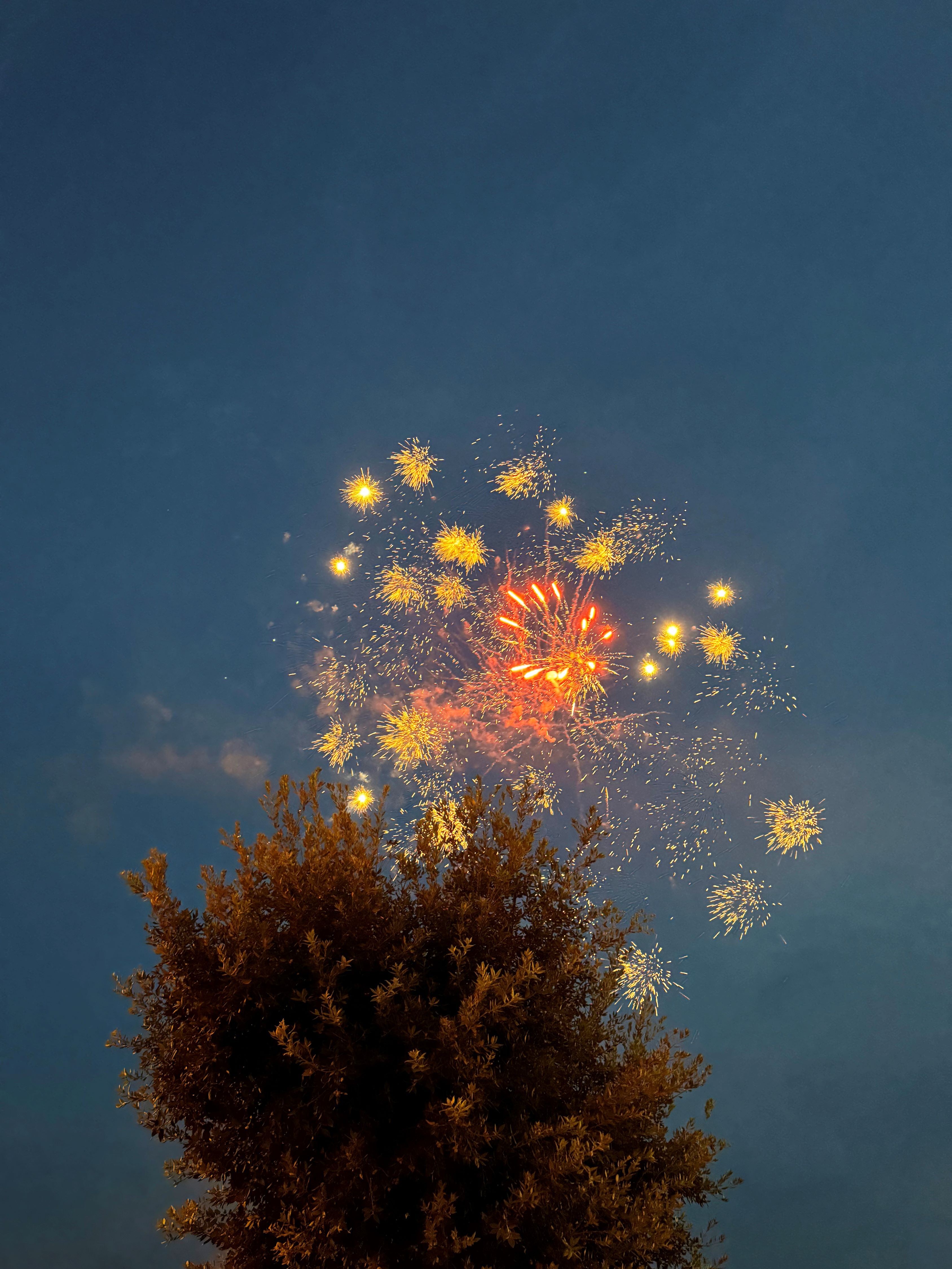 Zweschent_Welten-1-visuel_Viktoria_Vanyi_WEB_main