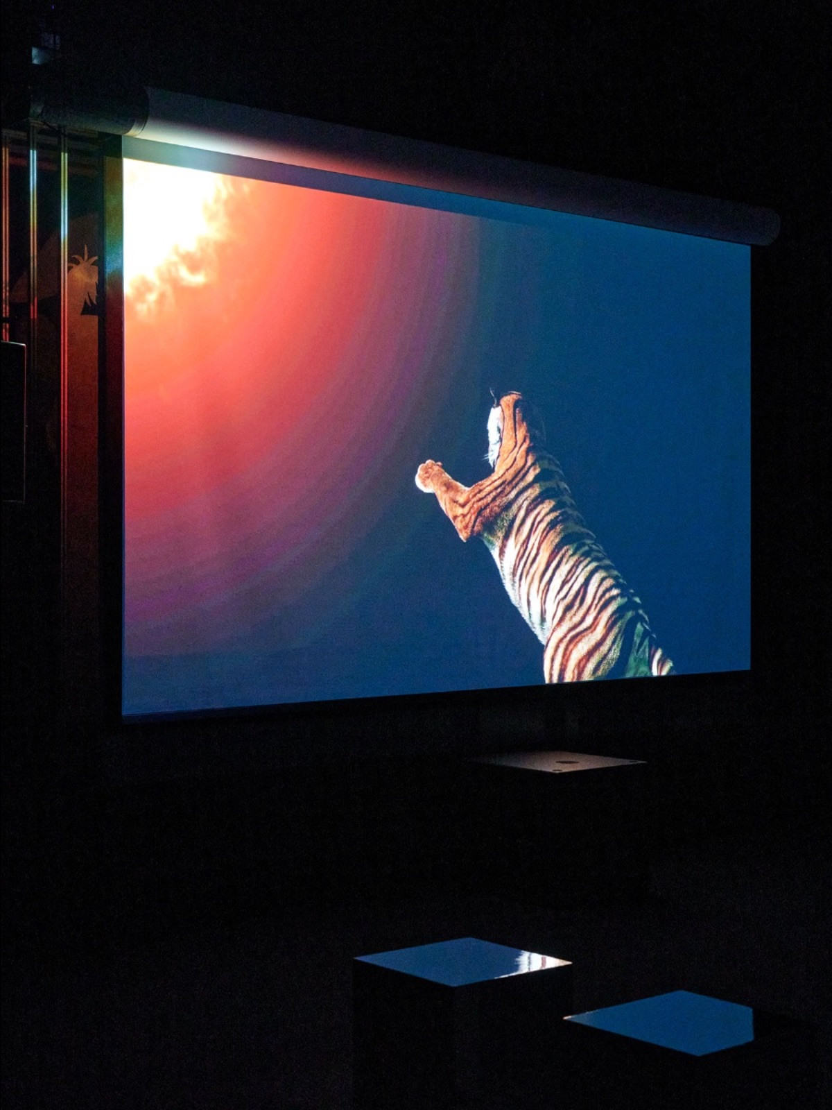 0b103459-b14b-db76-5f49-a38cdc3c1fb4_main