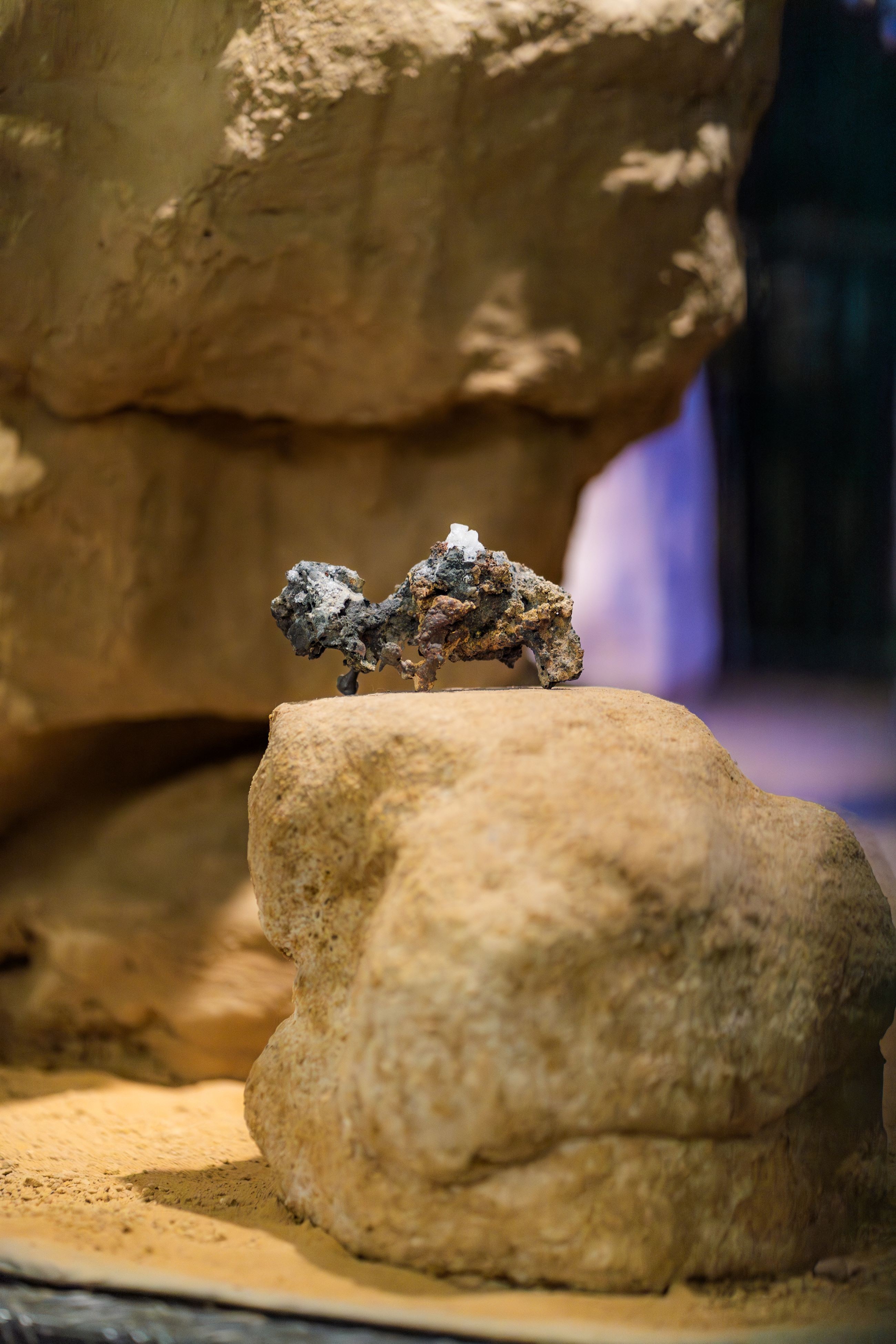 20260123_New_Rocks_Vernissage-2-photo_Philippe_Schroeder_WEB