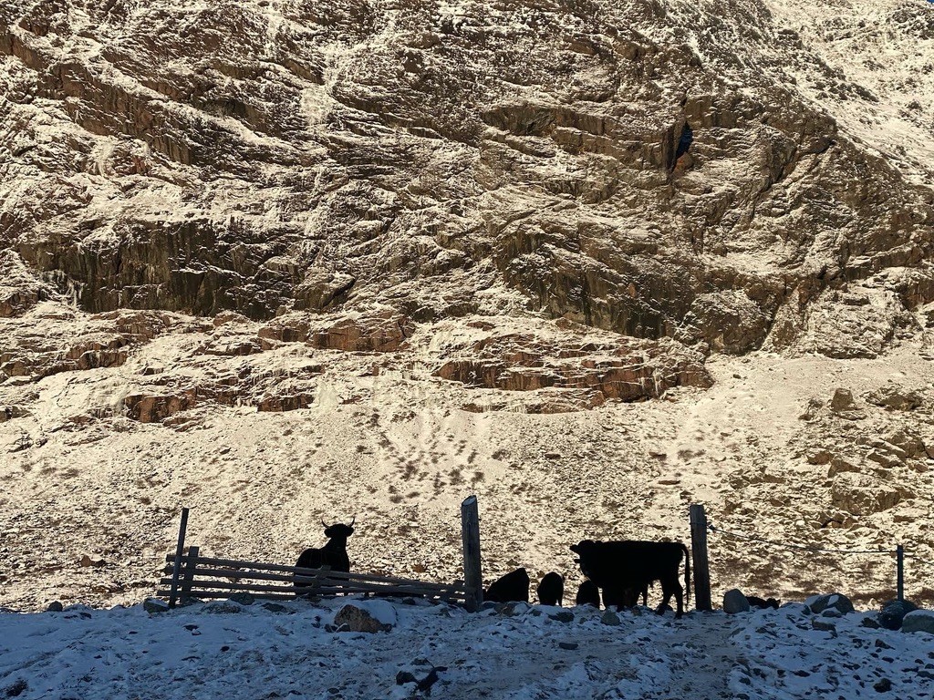 2802_1330_Jeff%20Diamanti