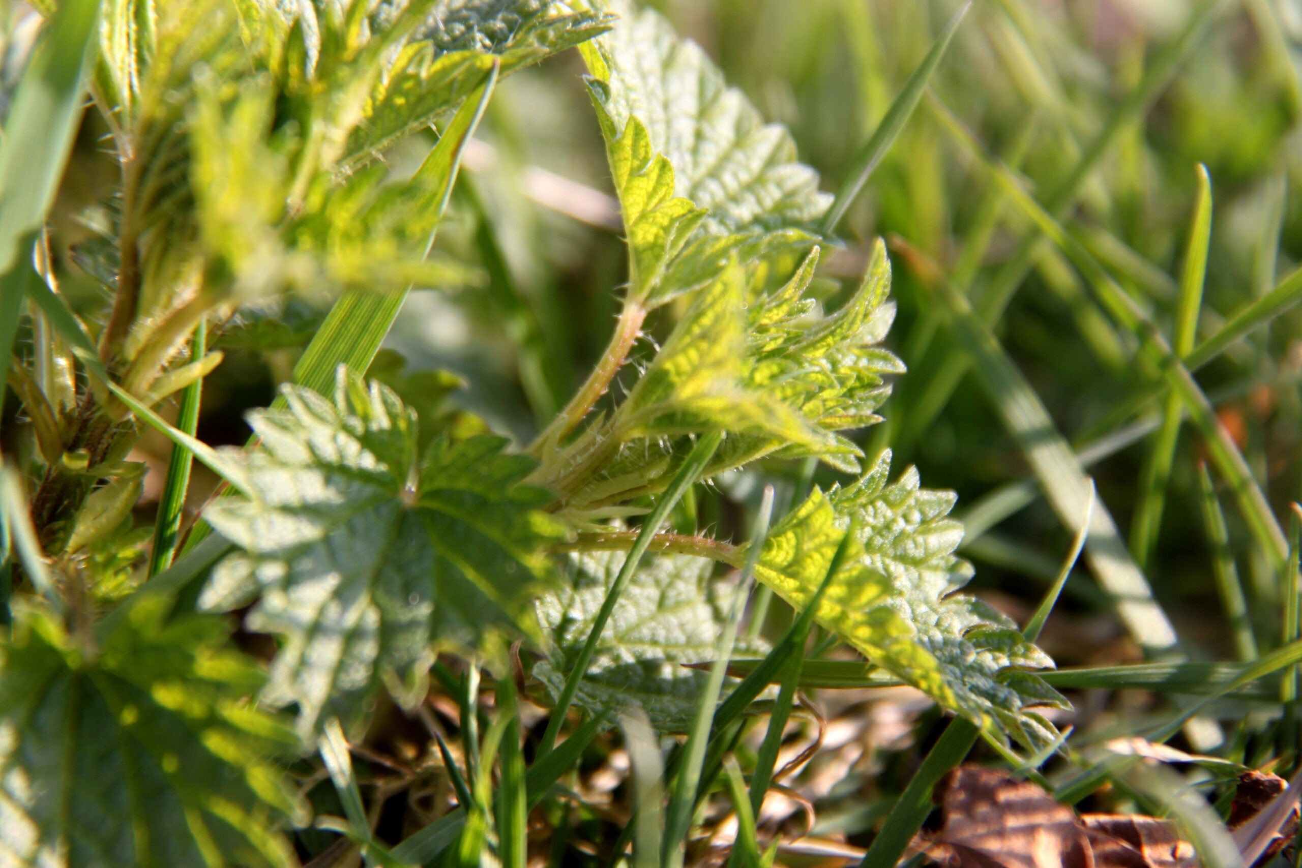 kywf0kywf0jpg-1-scaled_main