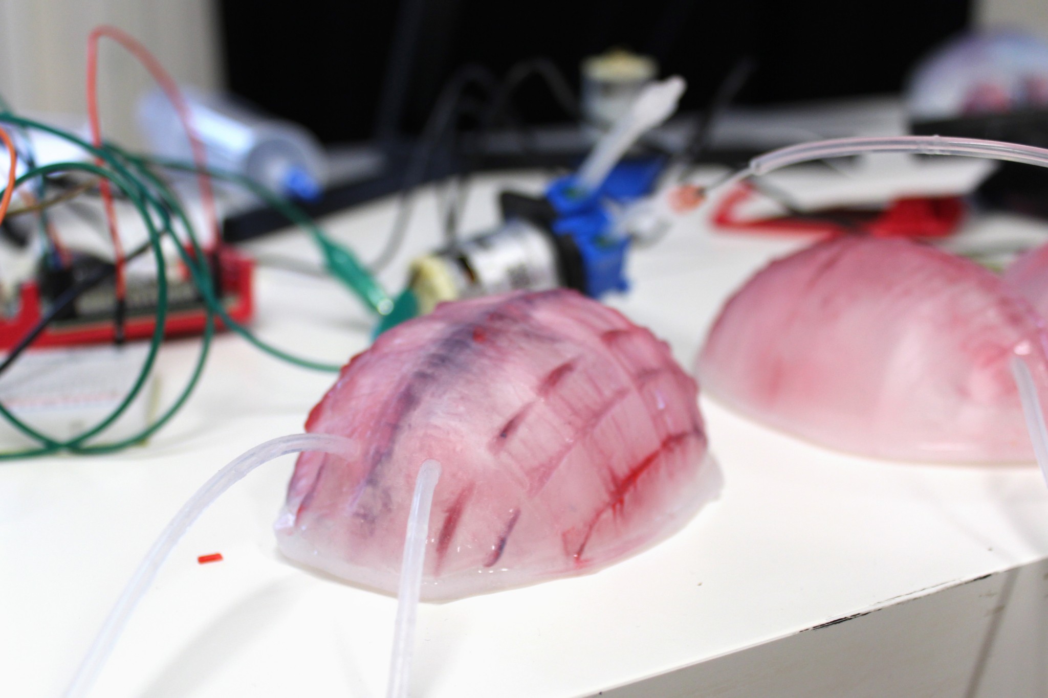 Parasites-1-photo_Amelie_Samson