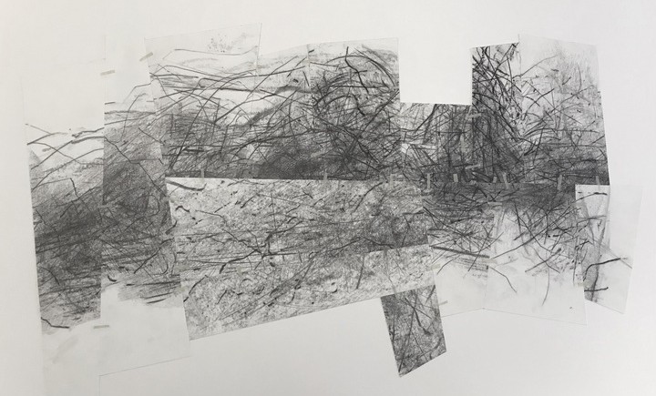 paysage___1_720_843-510_main