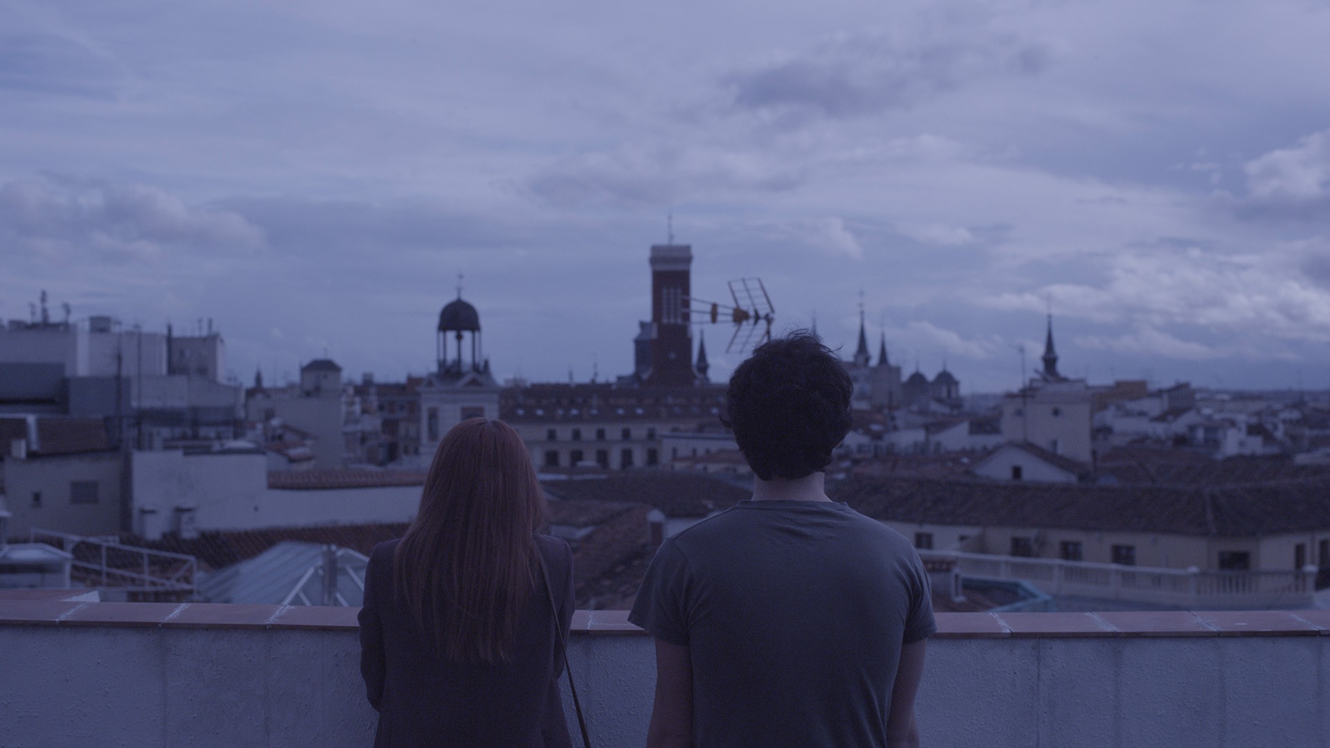 stockholm-caballo-01