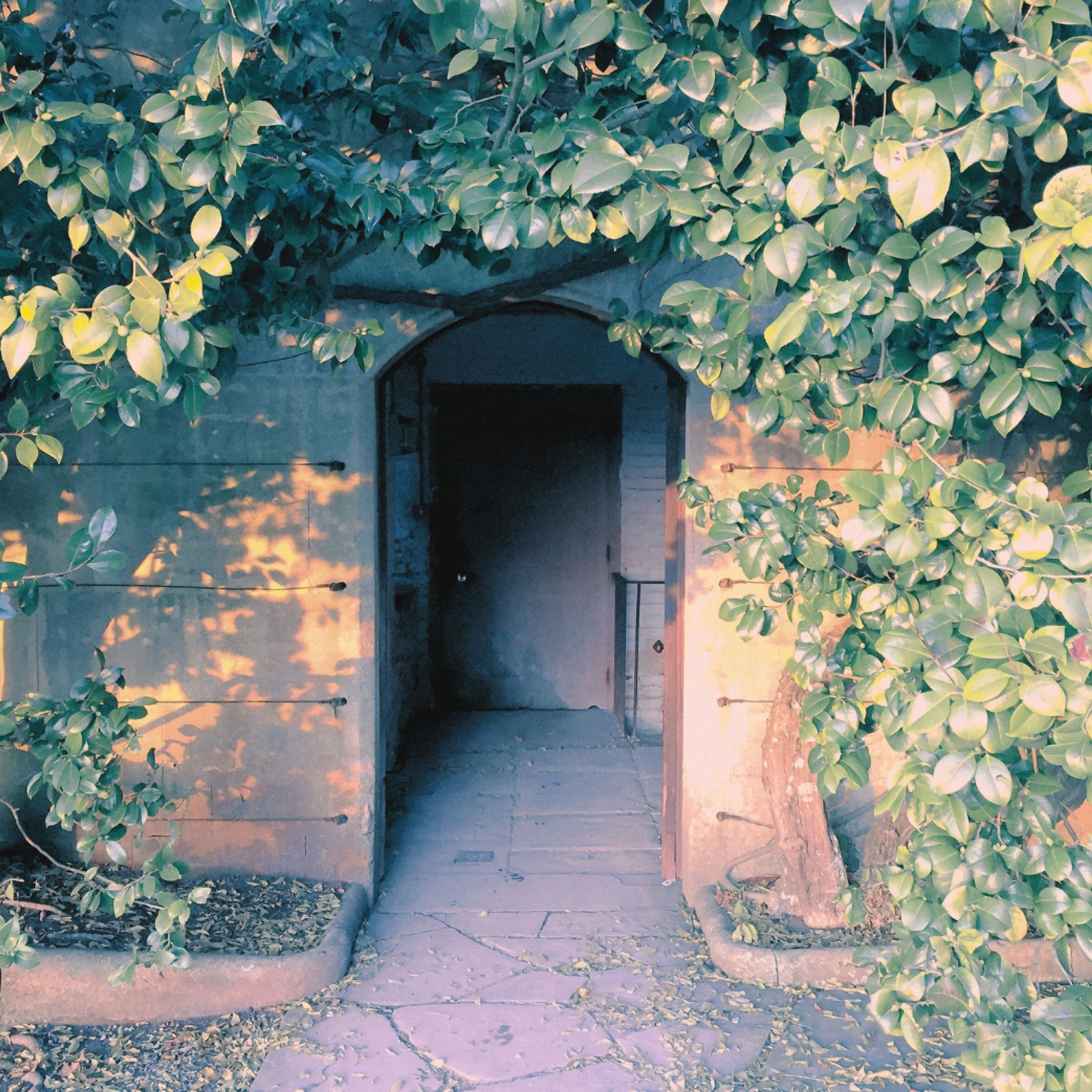 Versions-des-faitsbis_main