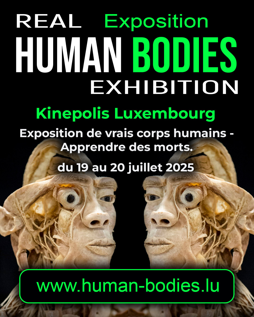 instagramm-Feed-Post-hochkant_main