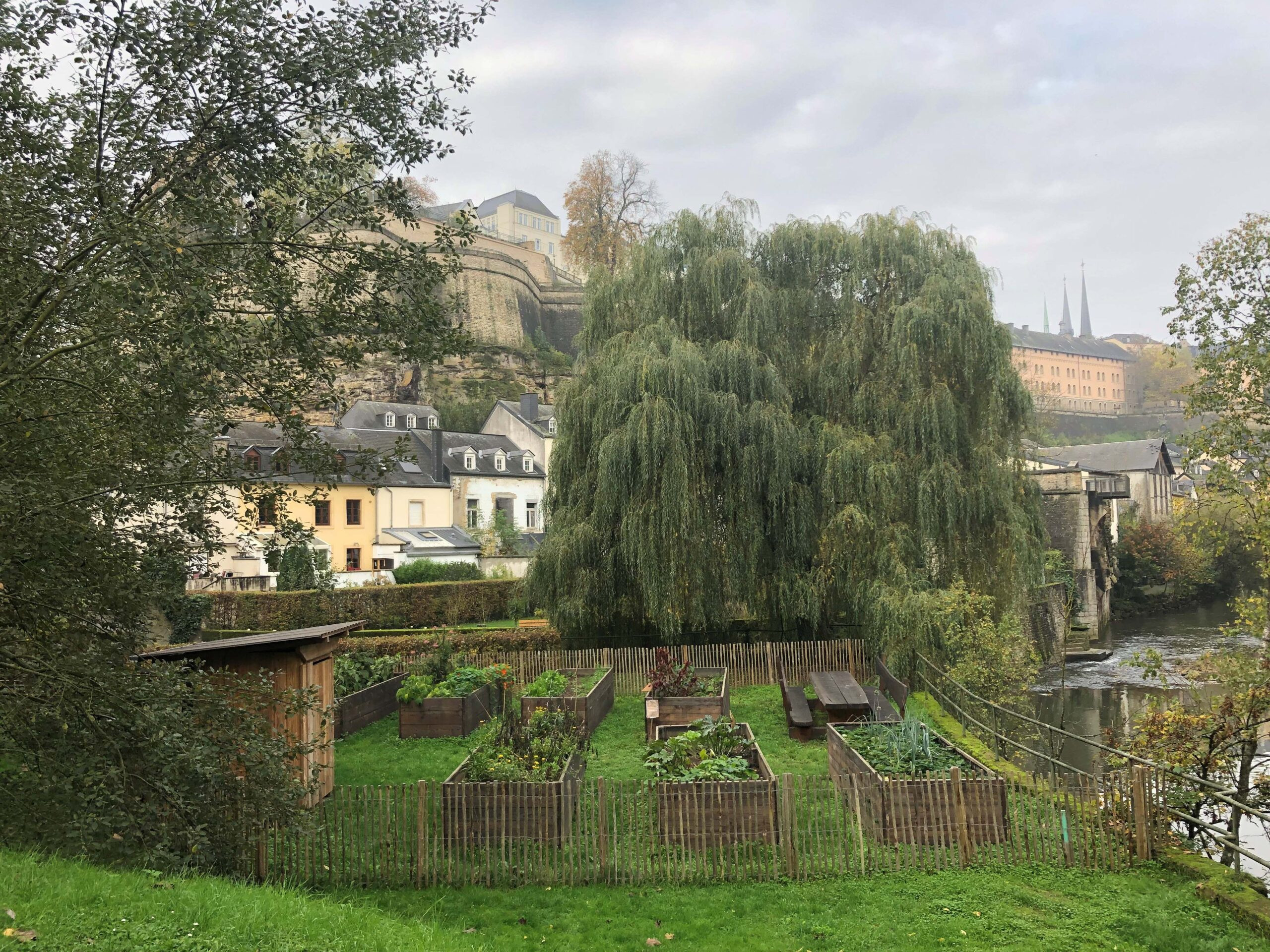 wbywiwbywijpeg-scaled_main