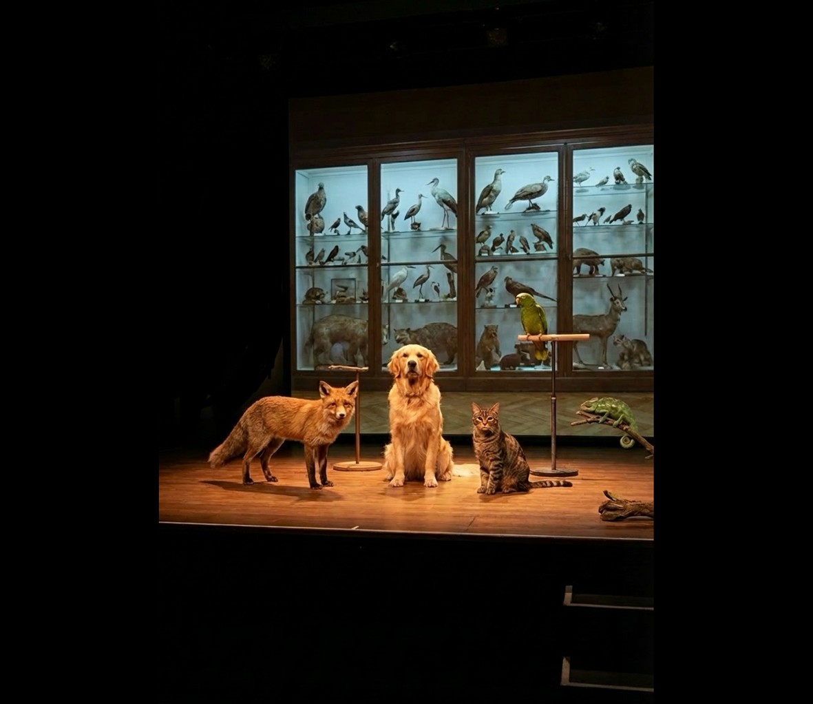 les-theatres-de-la-ville-de-luxembourg-the-animal-room