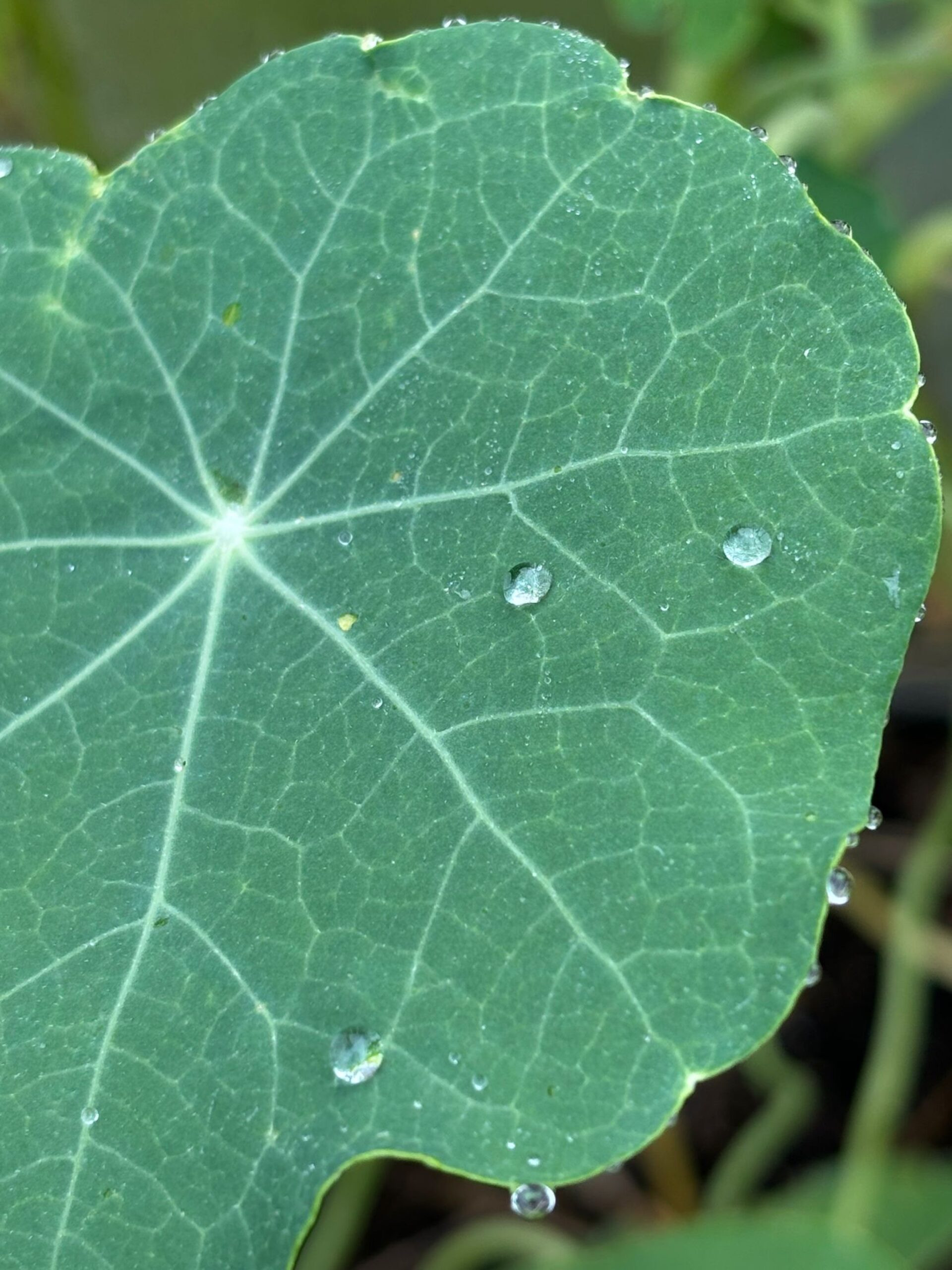 gc5r9gc5r9jpg-2-scaled_main