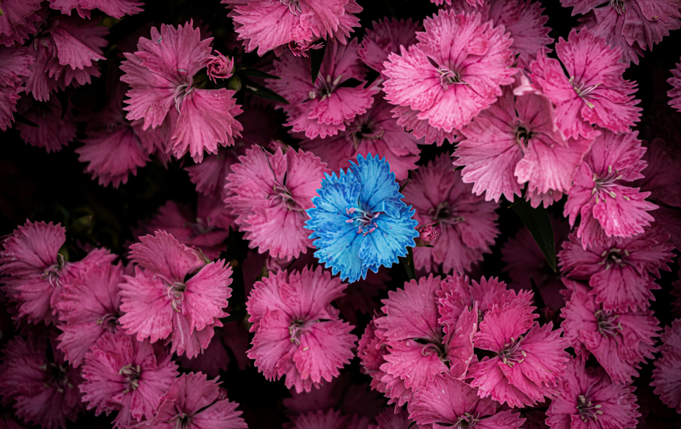 2026-02-14-13_31_14-brett-sayles-jpg_main