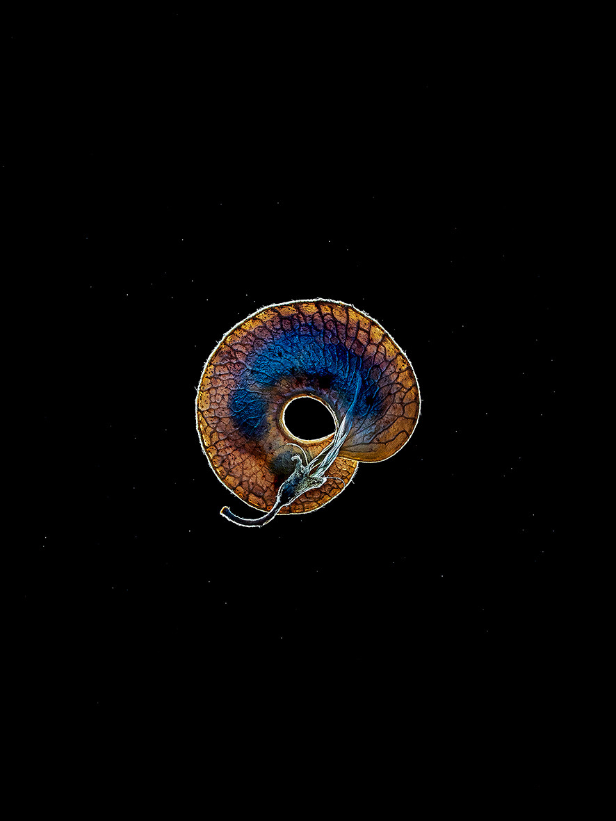 bequ4bequ4jpg-1_main