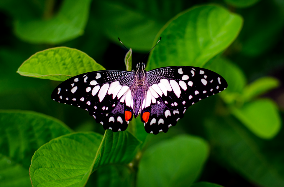 2025-11-22-10_32_27-zett-foto-jpg_main