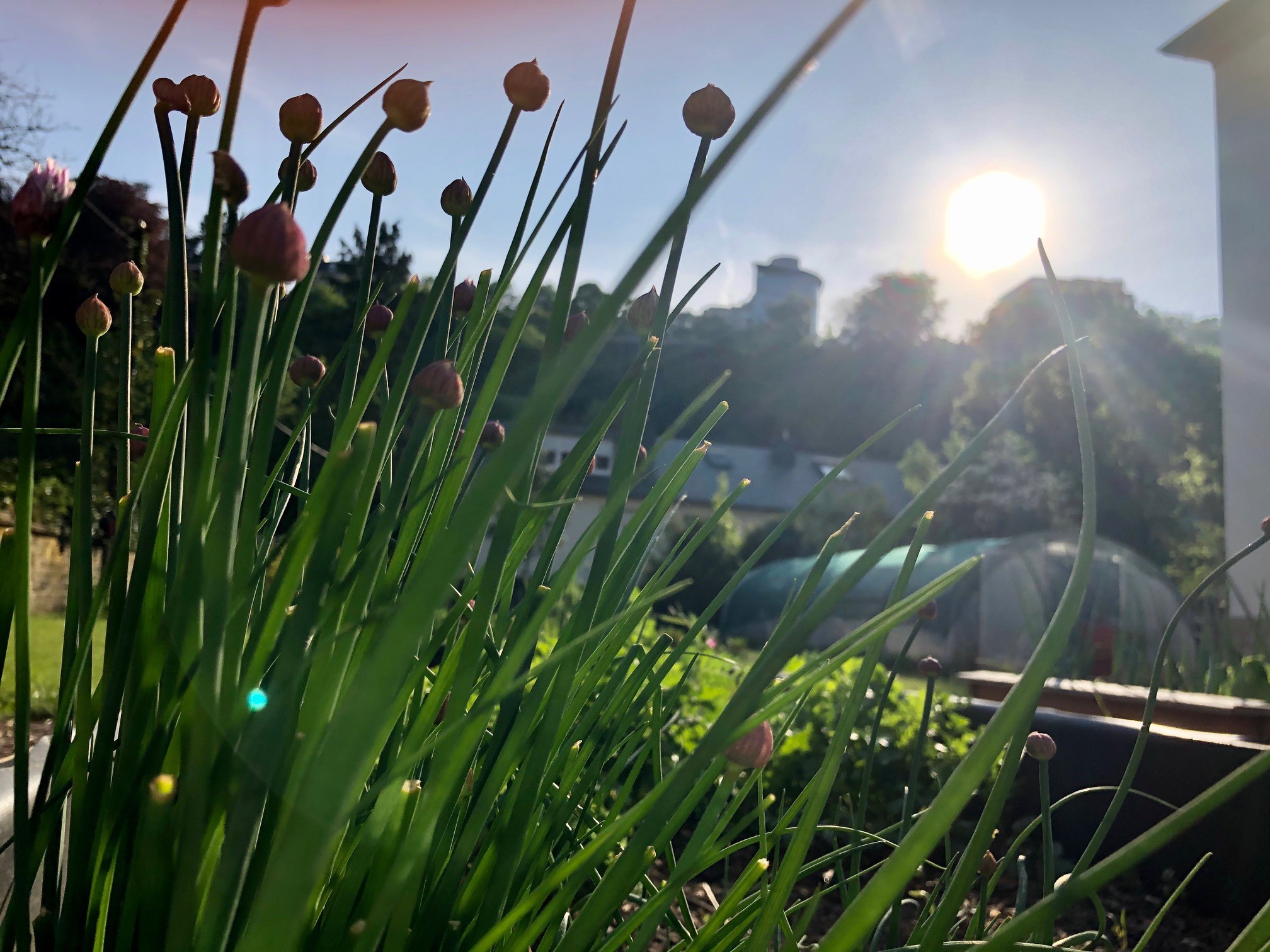 Jardin-Canopee-cover_300dpi_main