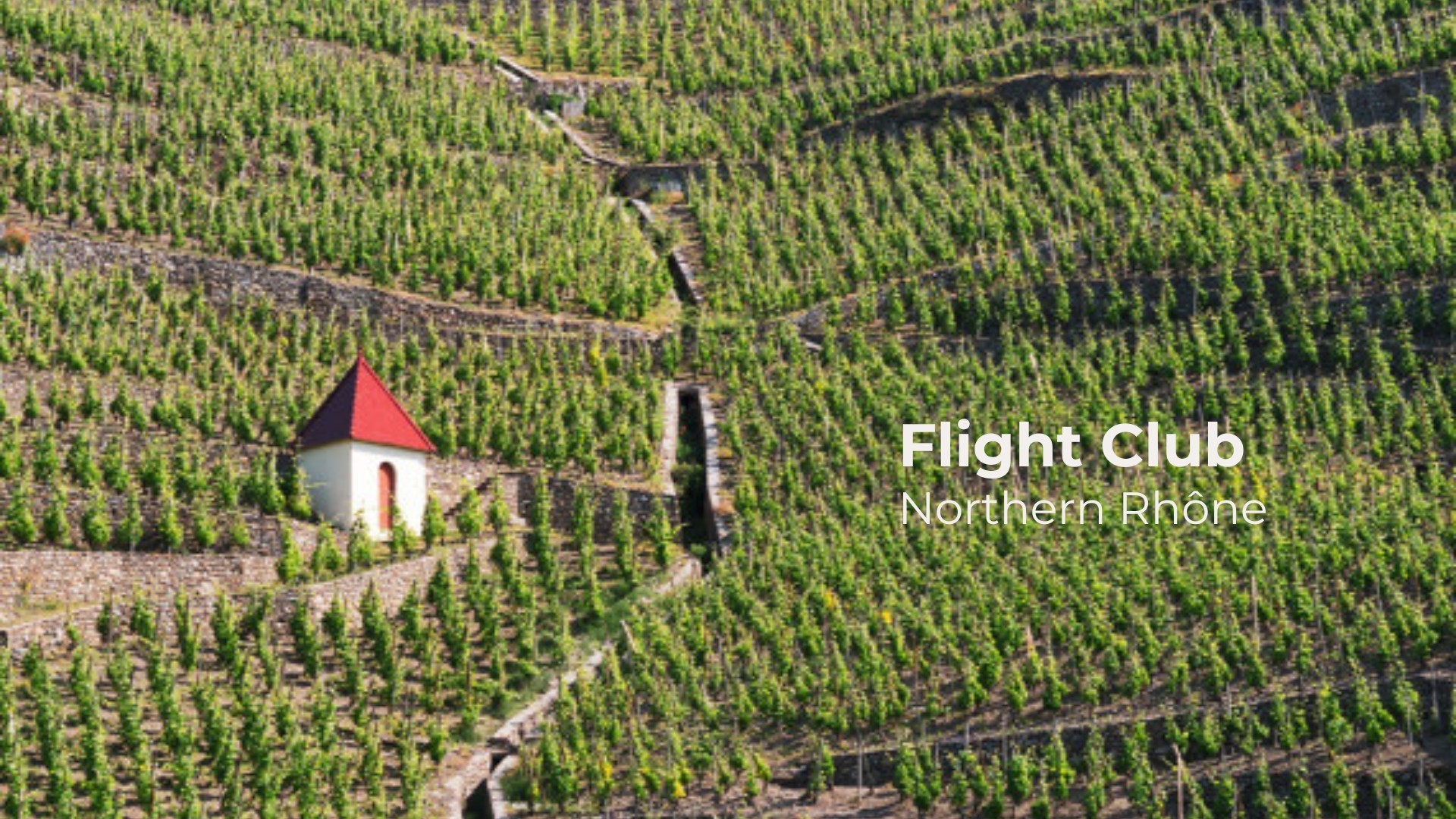 ECHO-lu-1920-x-1080_main