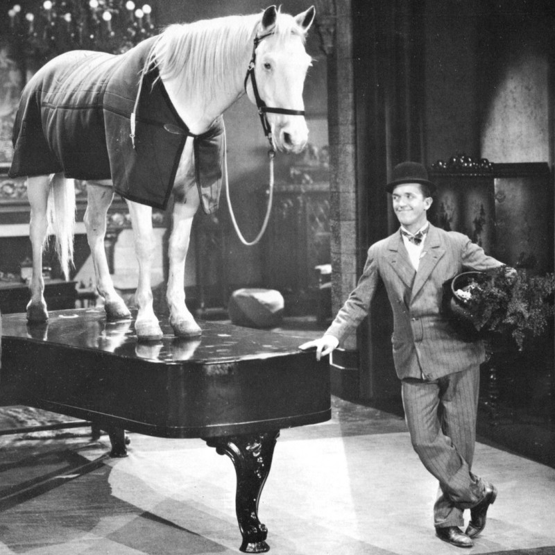 DA333AE1-33DF-207B-5E66-80F04277AAB7