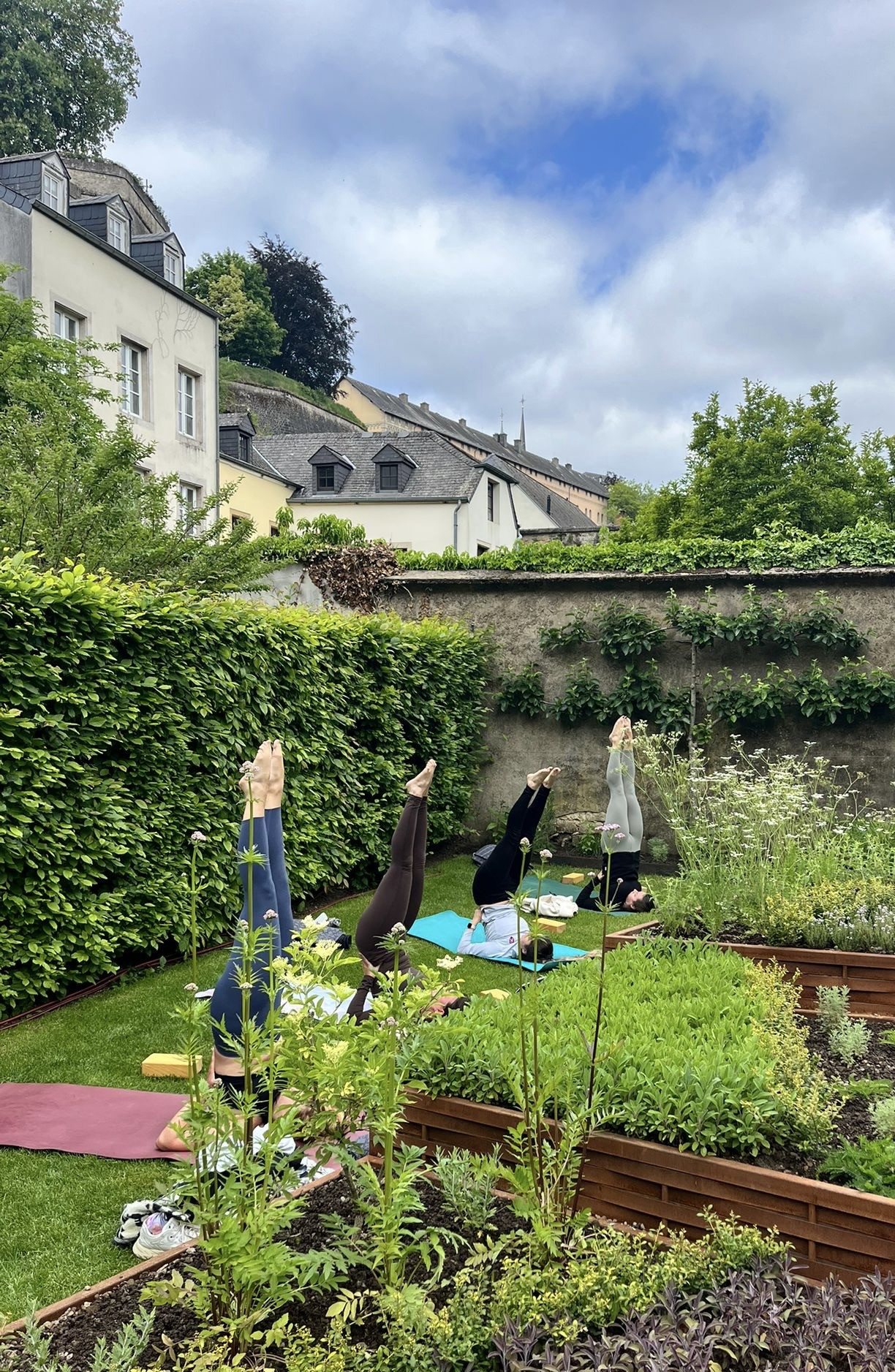 mslcrmslcrjpg-1_main