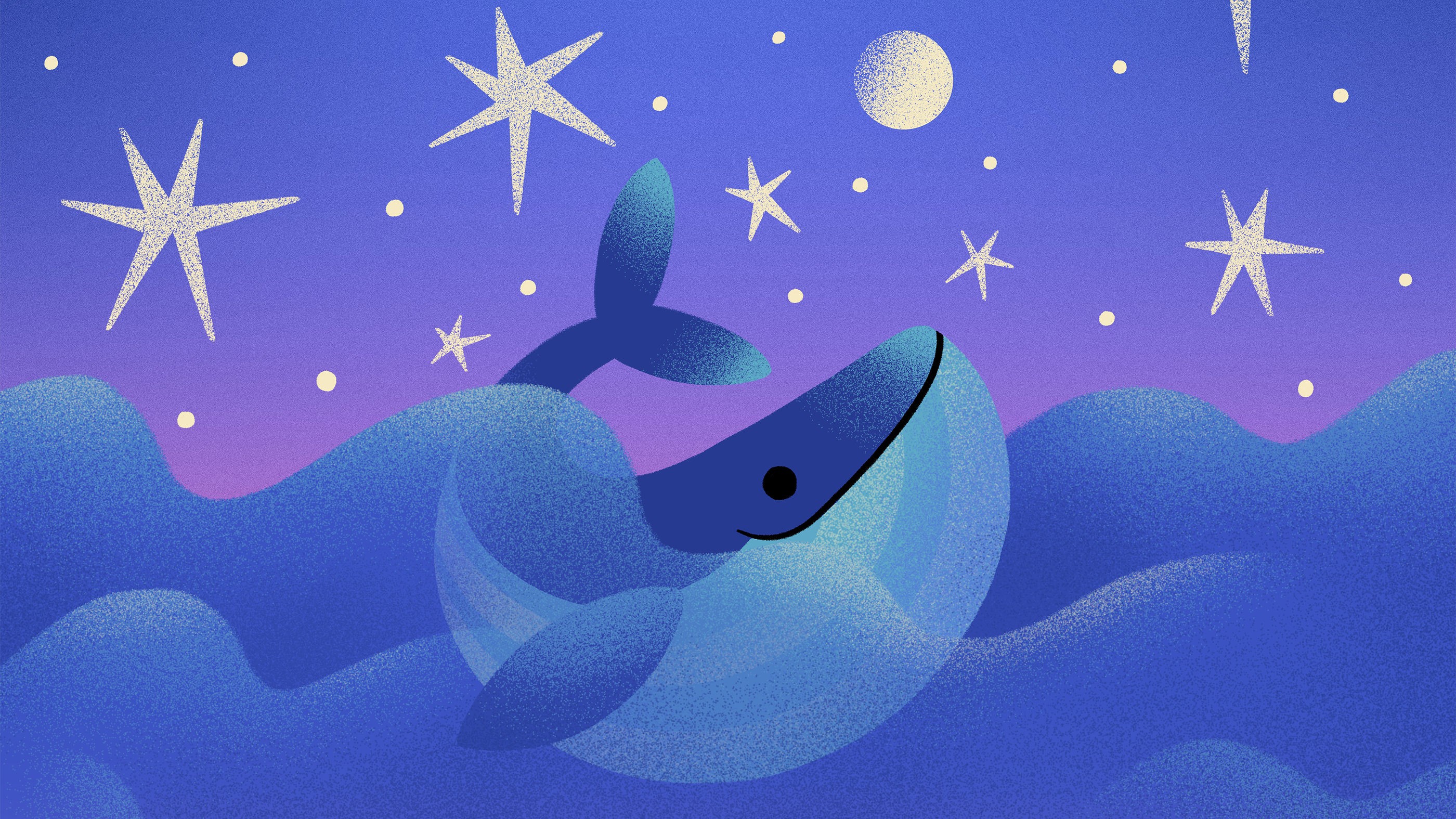 der-einsamste-wal-der-welt_2800x1575