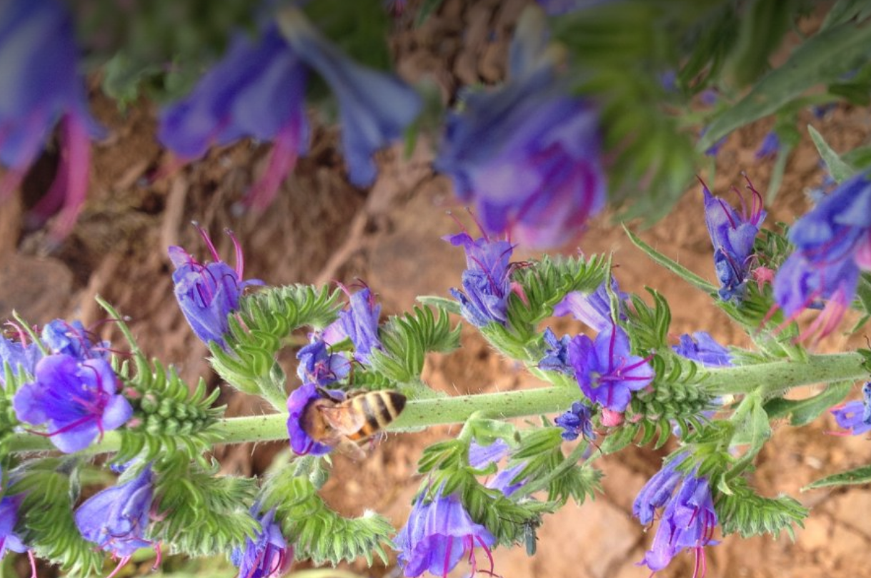 Beien-an-der-Stad-Ville-de-Luxembourg_main