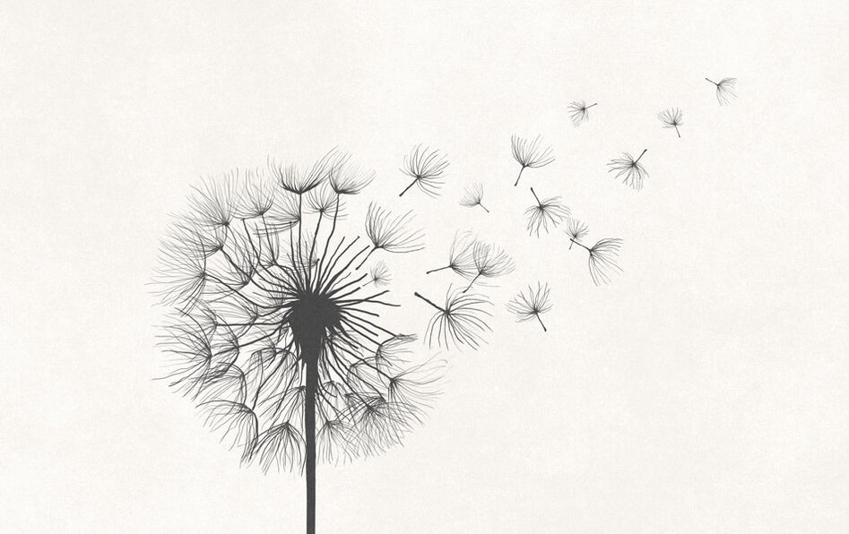 iStock-1321446076_recadre_main