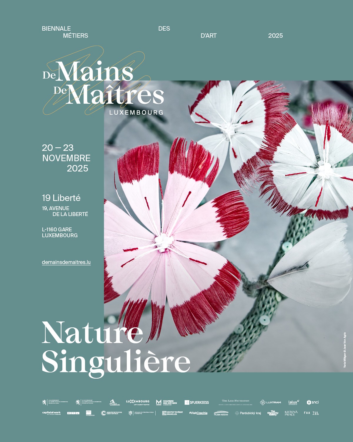 DMDM_social_media_Post_2_main