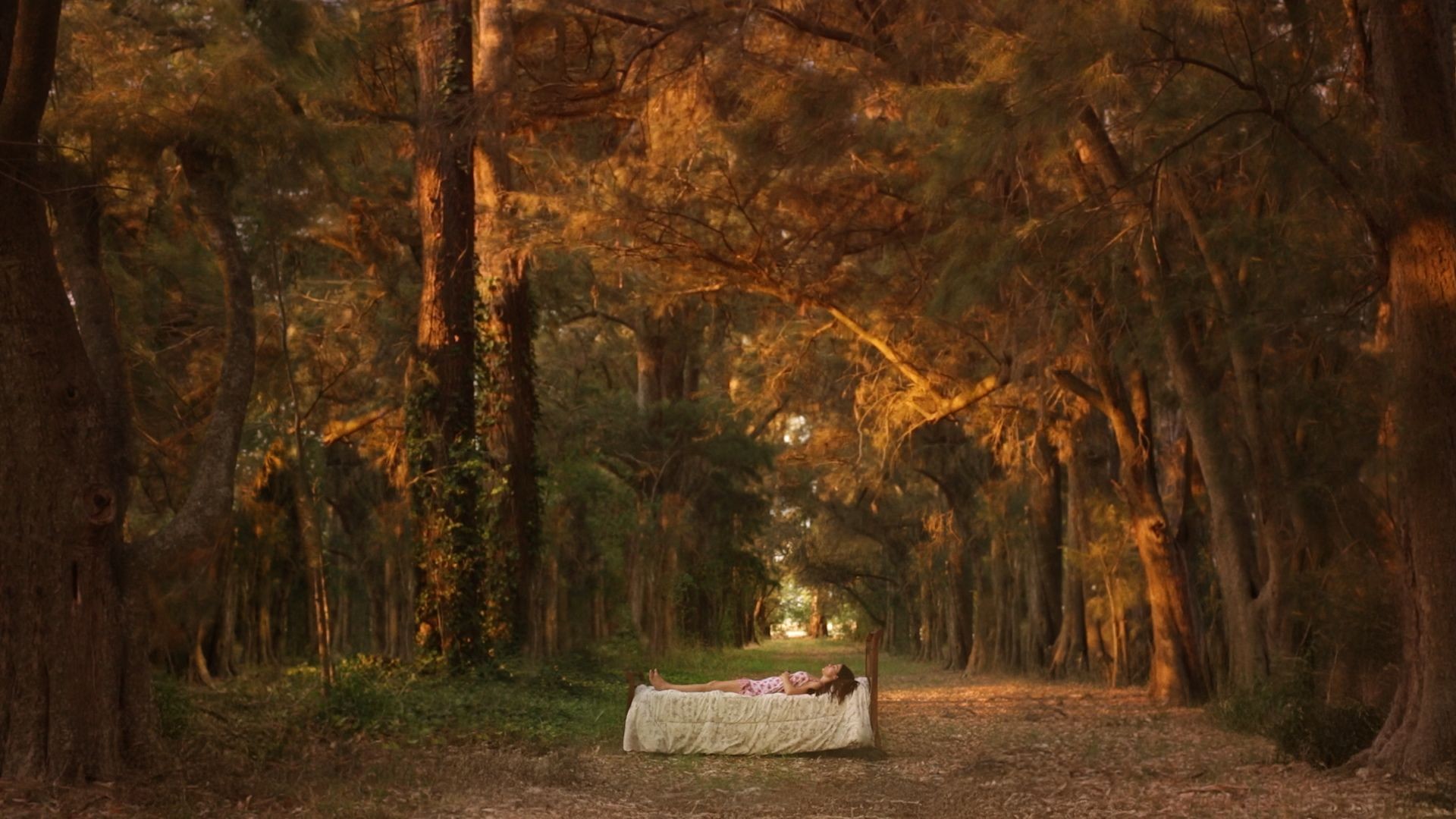 Editeur-image-1920x1080-6-1