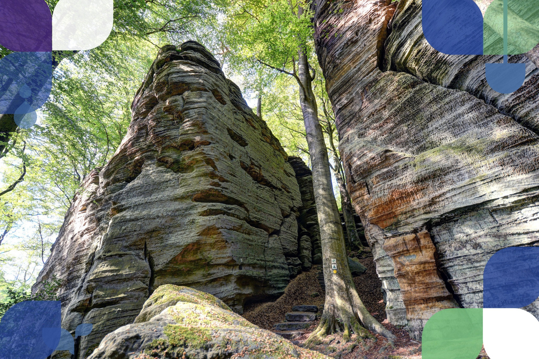 zc9aszc9asjpg-1_main