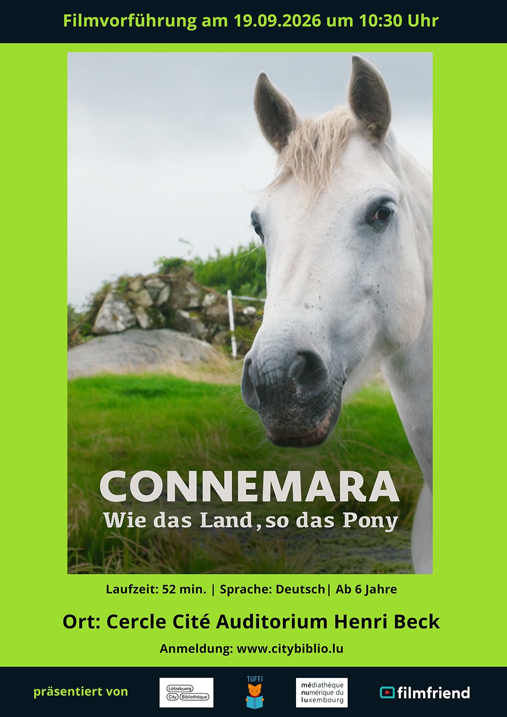 2026_09_Connemara-wie-das-Land-so-das-Pony-1-_main