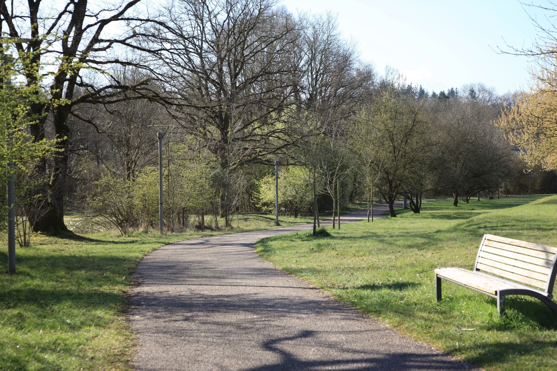 Arboretum-Kirchberg_Echo_main