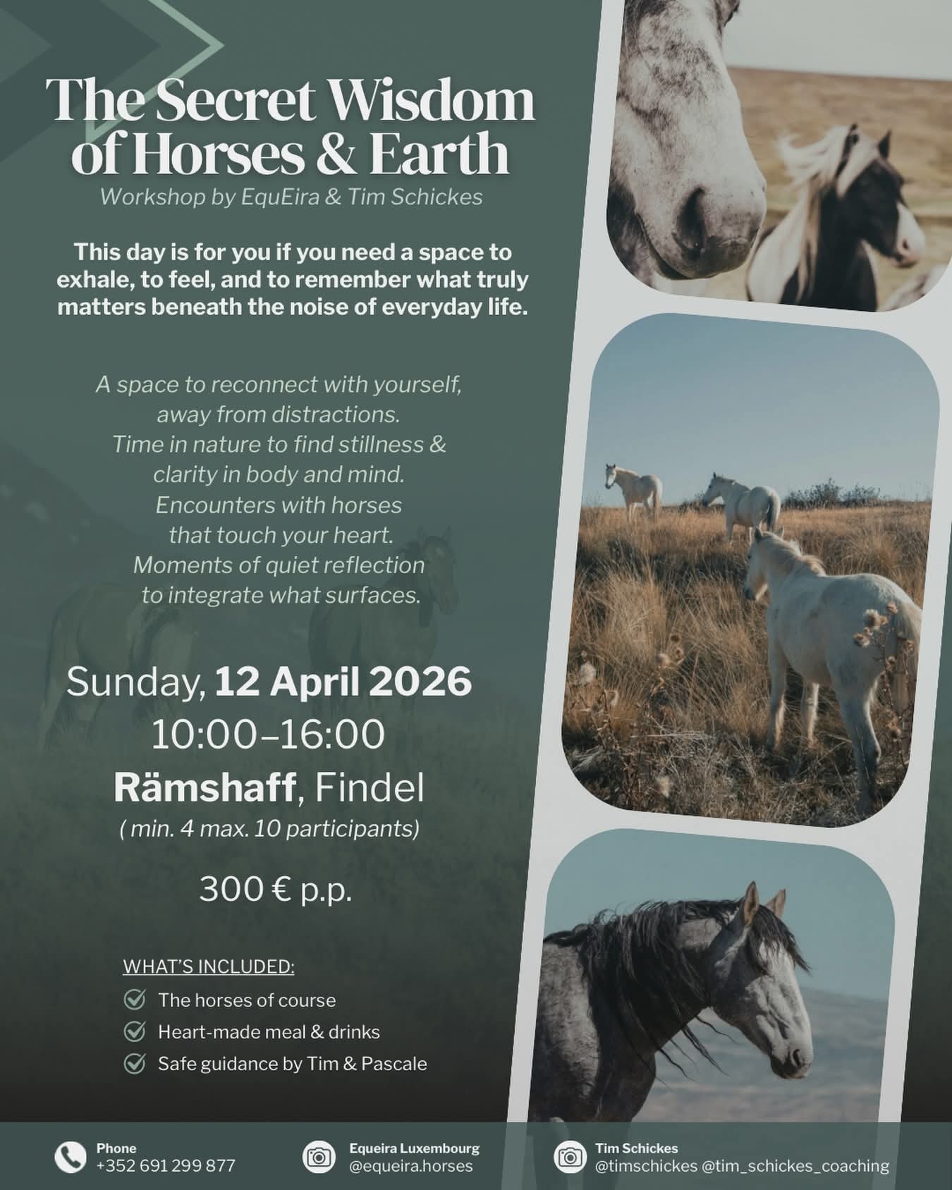 FB_IMG_1772635365450_main