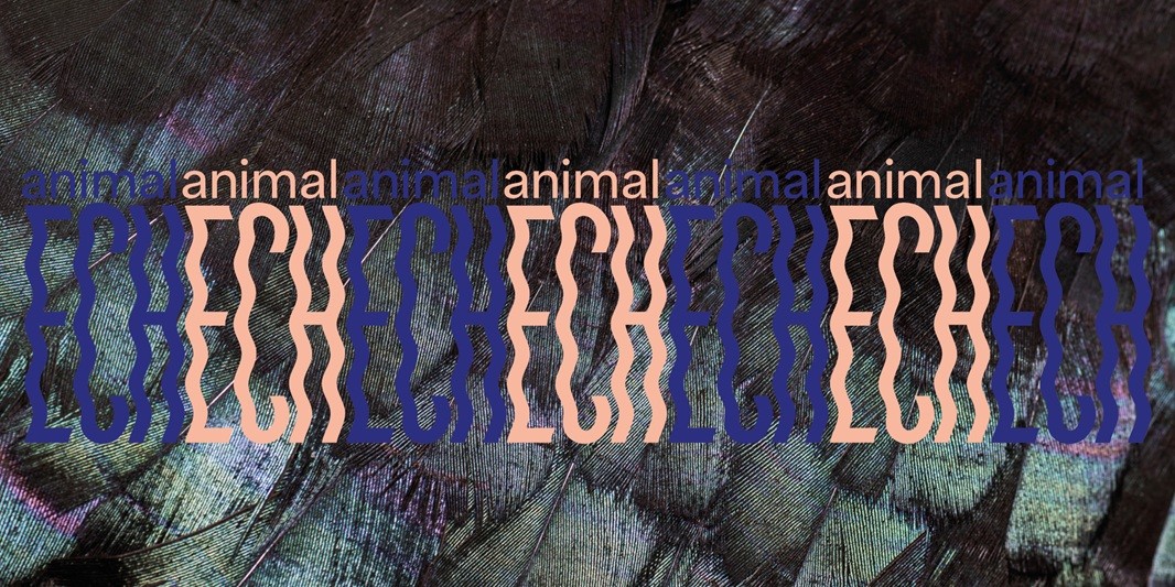 EBCover_animalECH_1600x800_main
