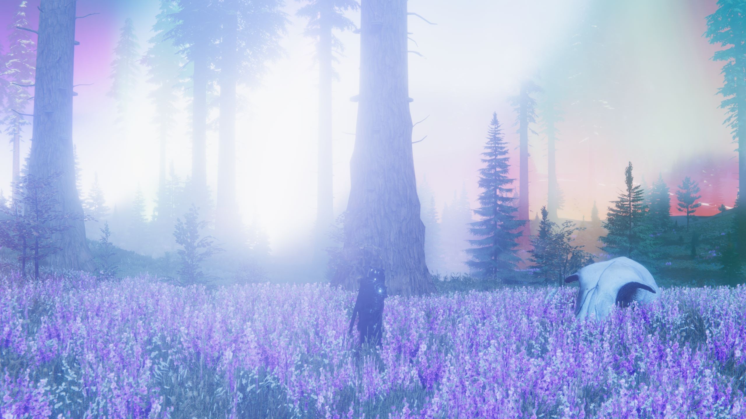 Une%20immersion%20dans%20le%20jeu%203-6