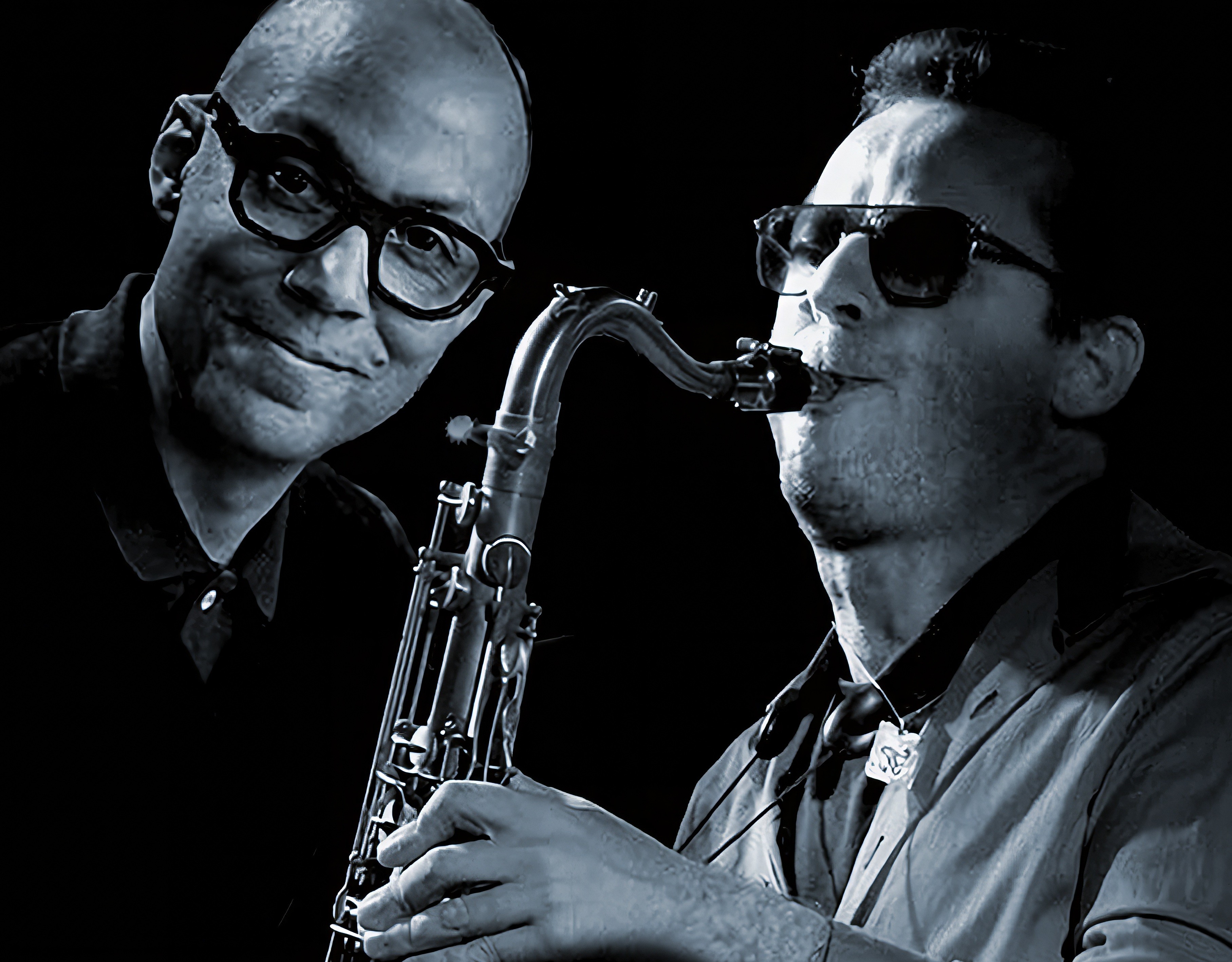 Cocq-Amann_Montage_main