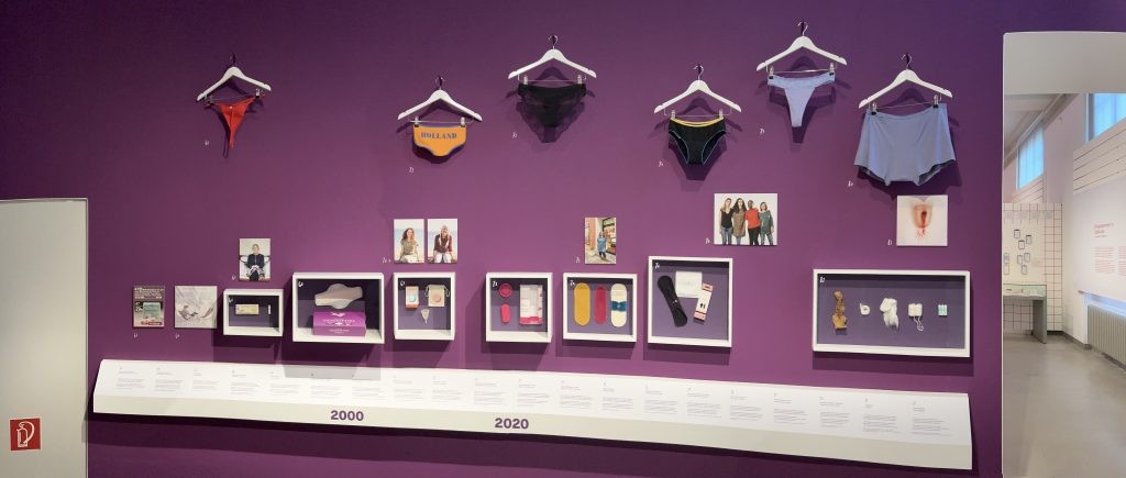 IMG_5313-1024x435_main