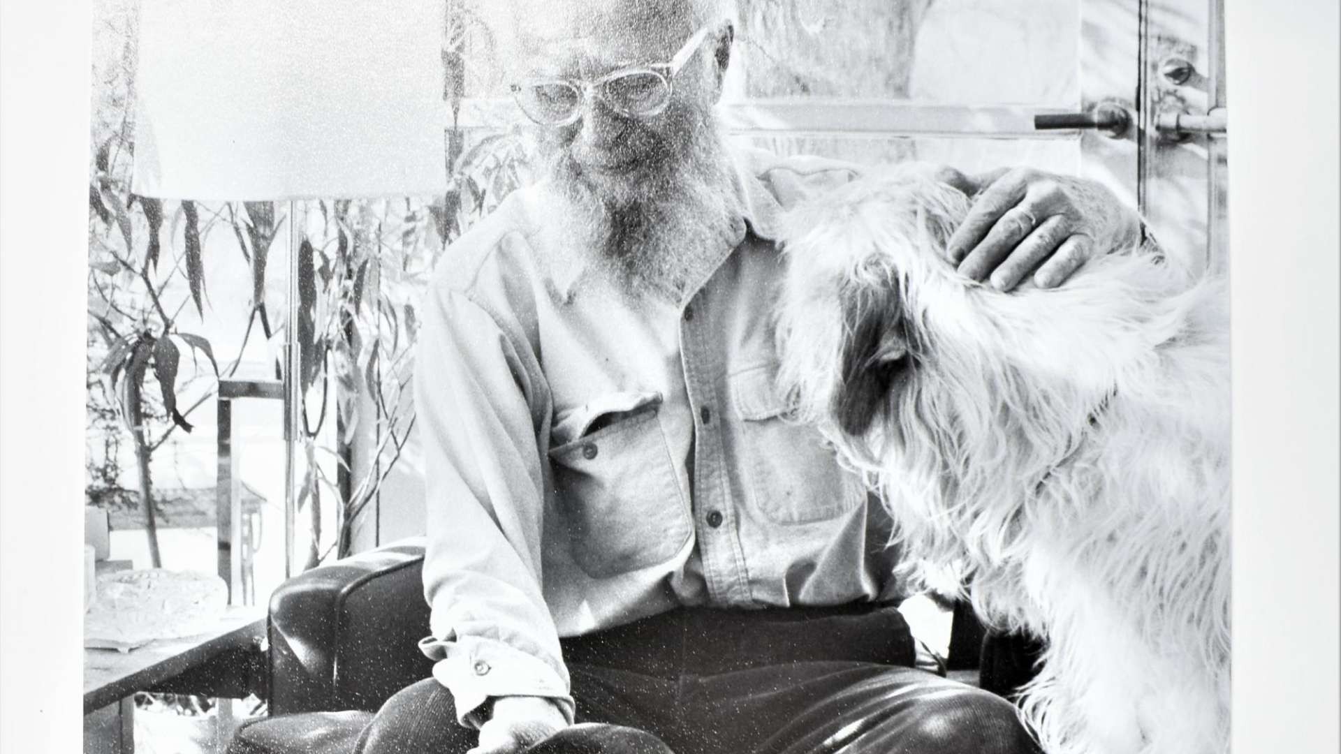 e08ae6ed-e65a-4df8-8683-8a1e92fcfe8d