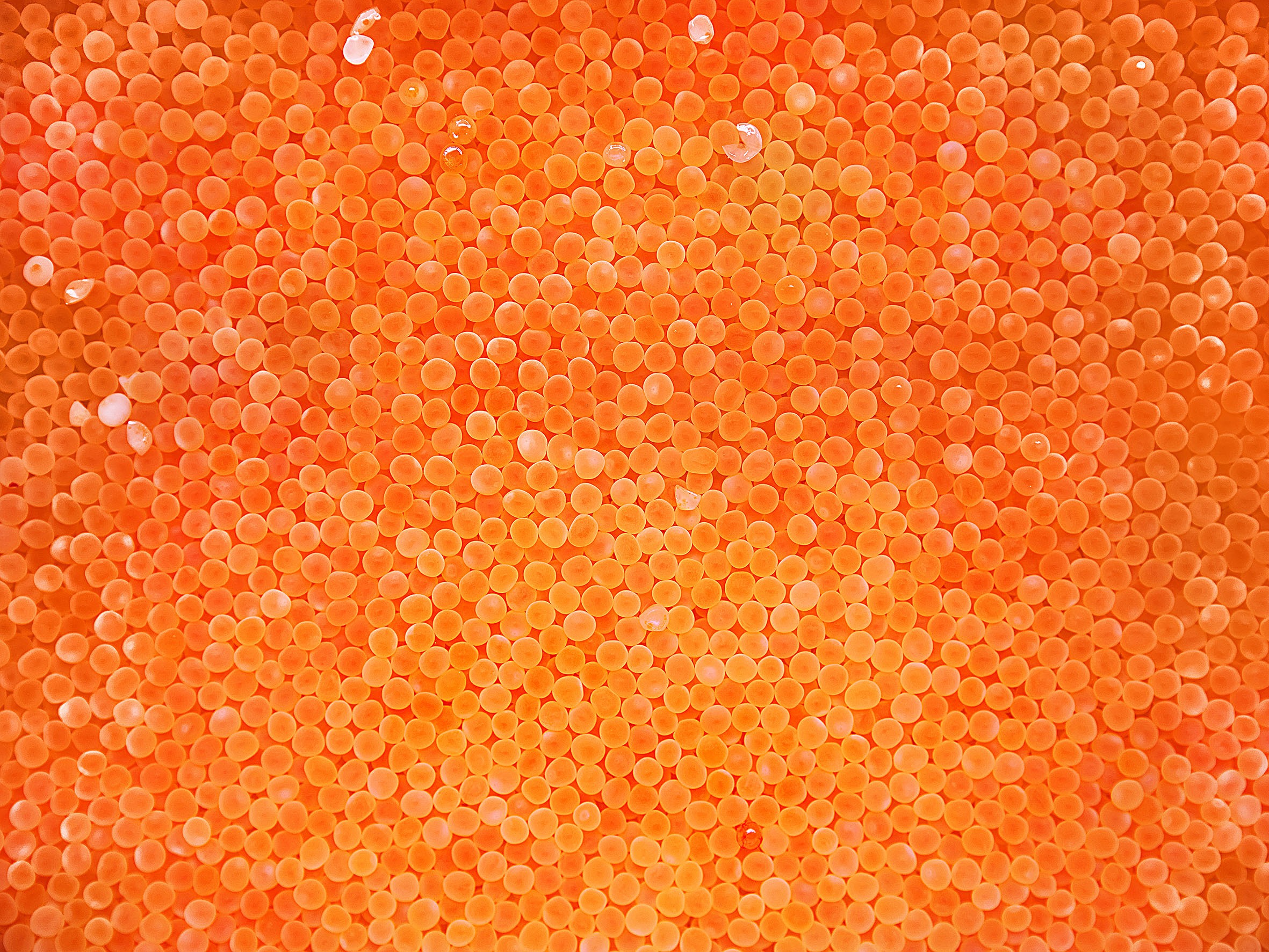 wcbxrwcbxrjpg-1_main