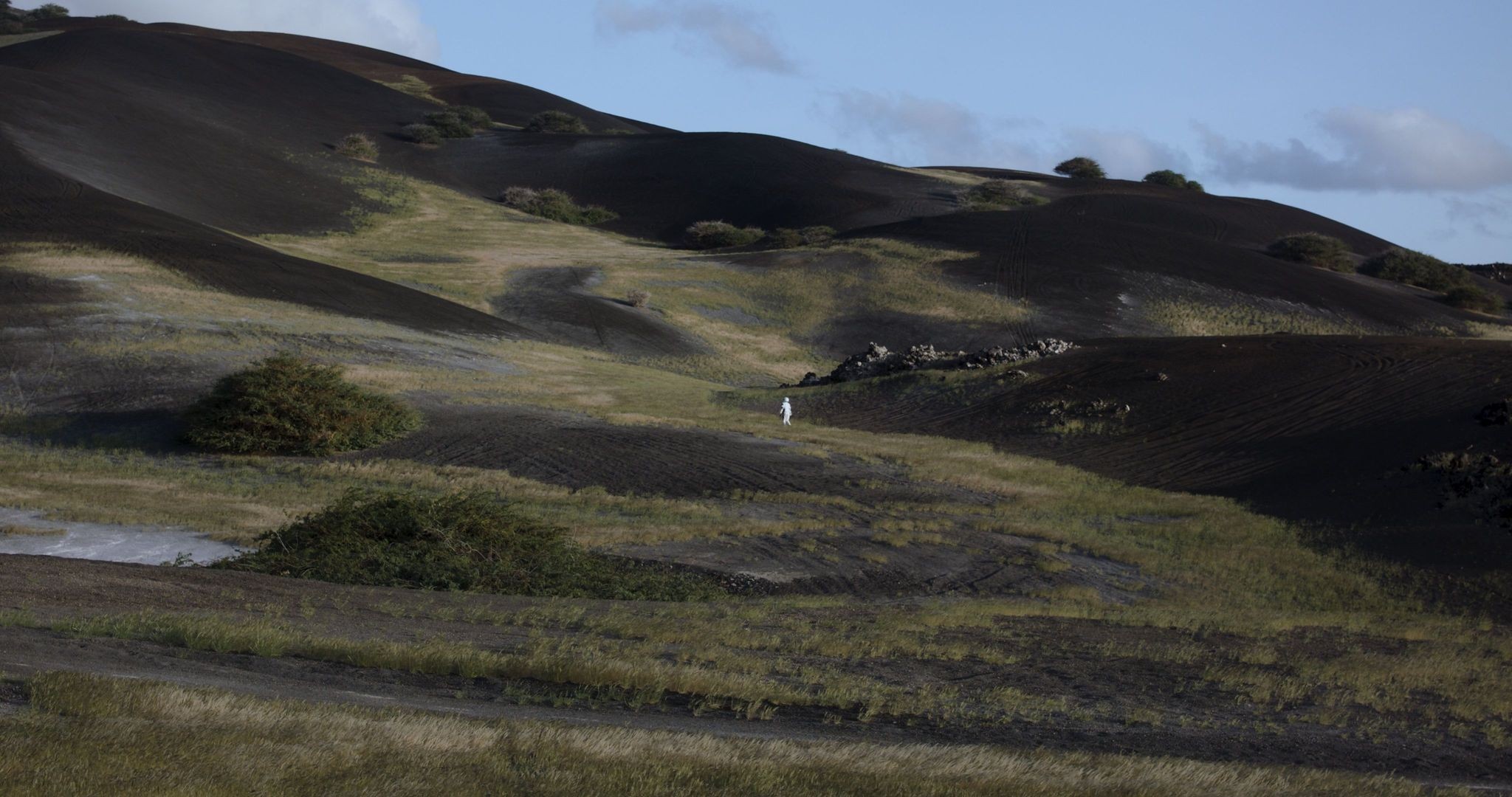 -2023-TerraForma-Courtesy-of-Silverstrand-Productions_main