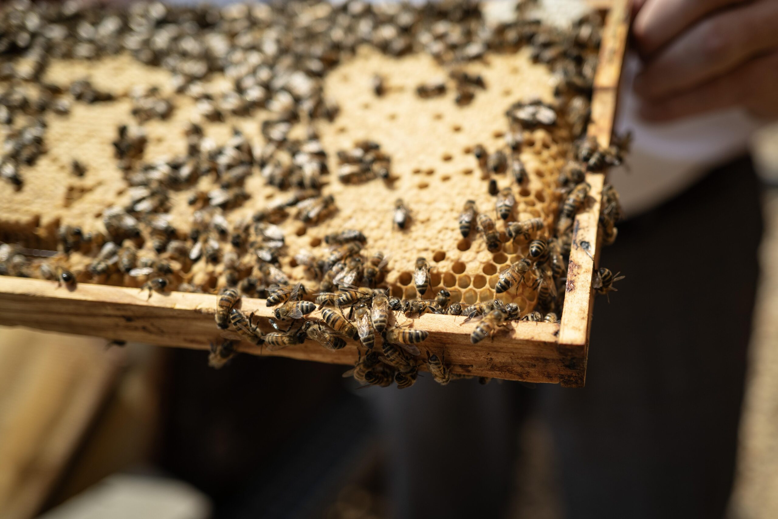 13-do01000355a-scaled_main