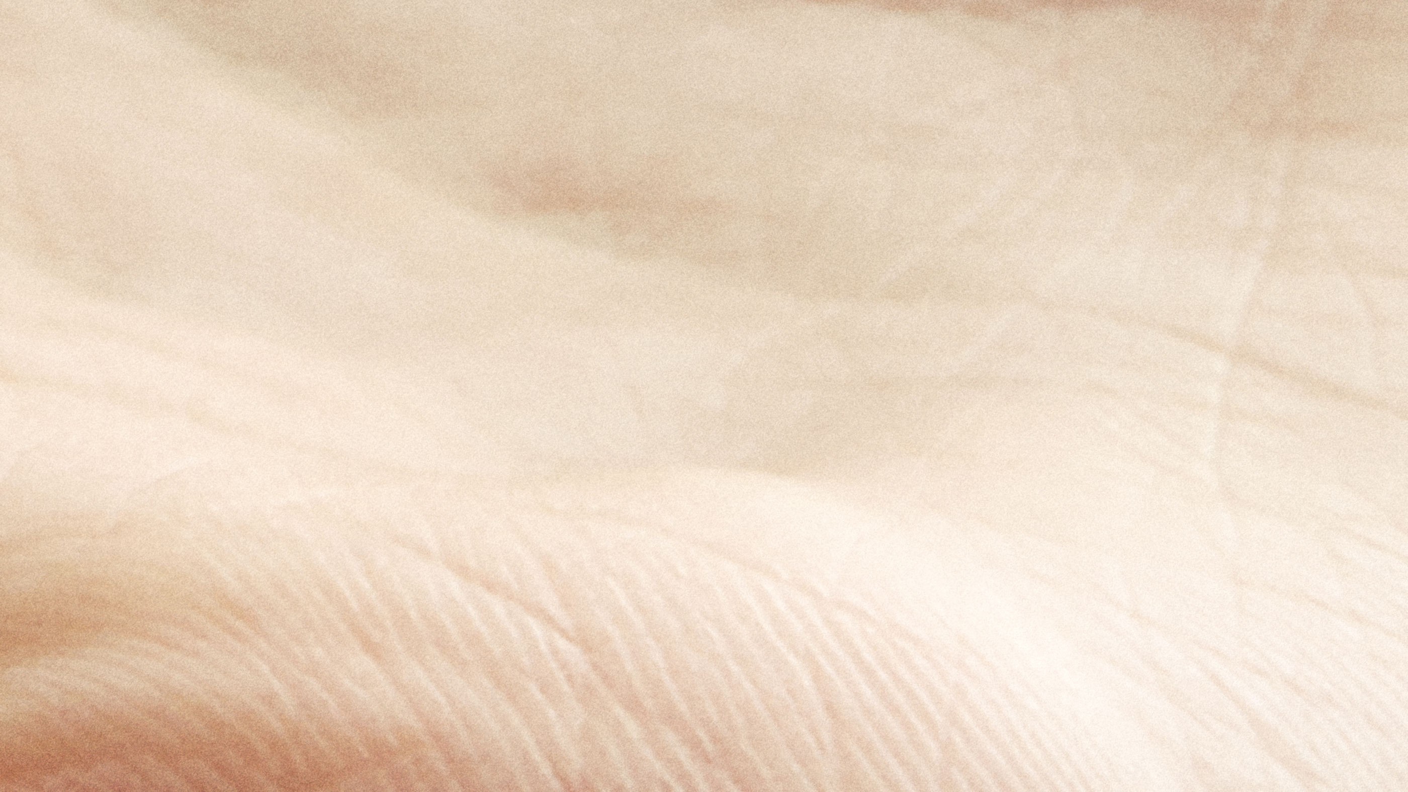 testbody_02