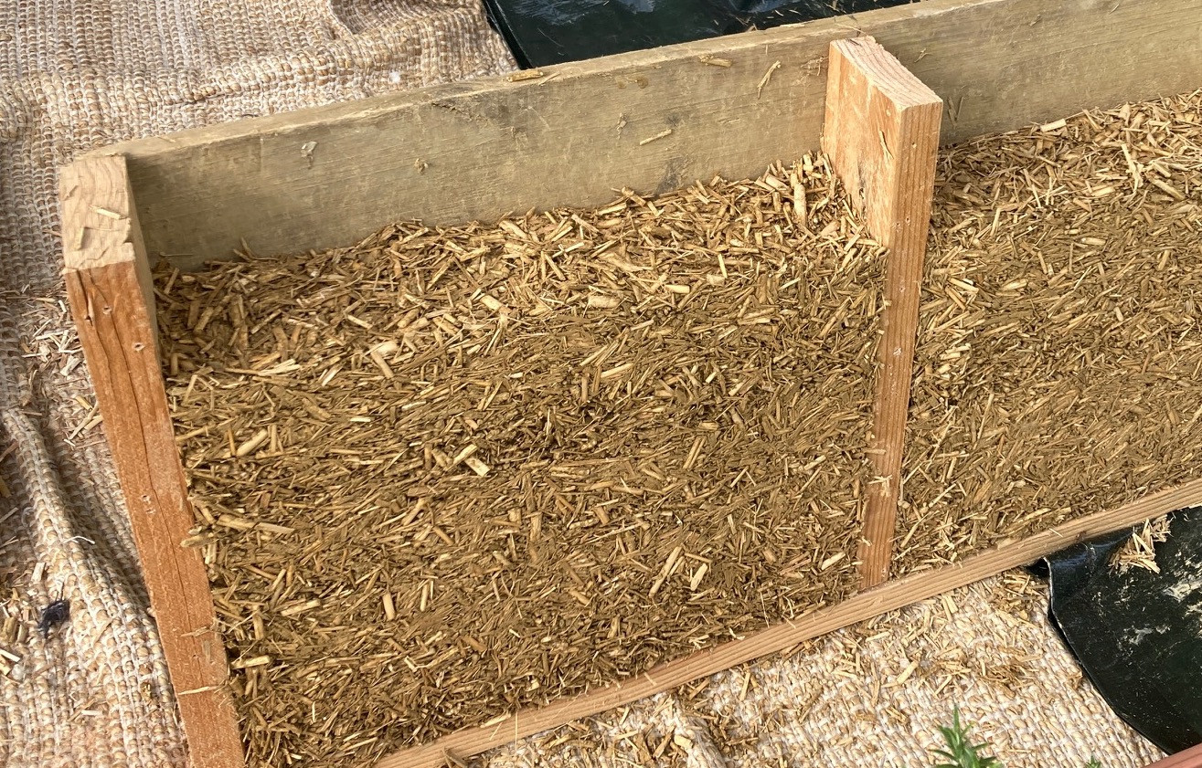 4-Atelier-apprendre-a-construire-une-cloison-inte-rieure-e-cologique-FR-_main