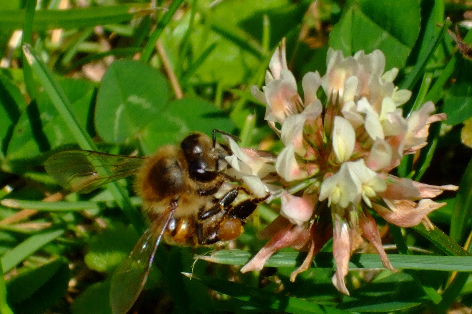 1ohyv1ohyvjpg-1_main