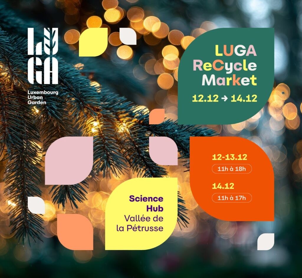 visuels-site-web-3-1024x941