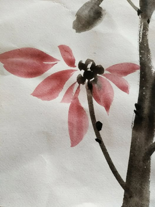 ksg1wksg1wjpg-2_main