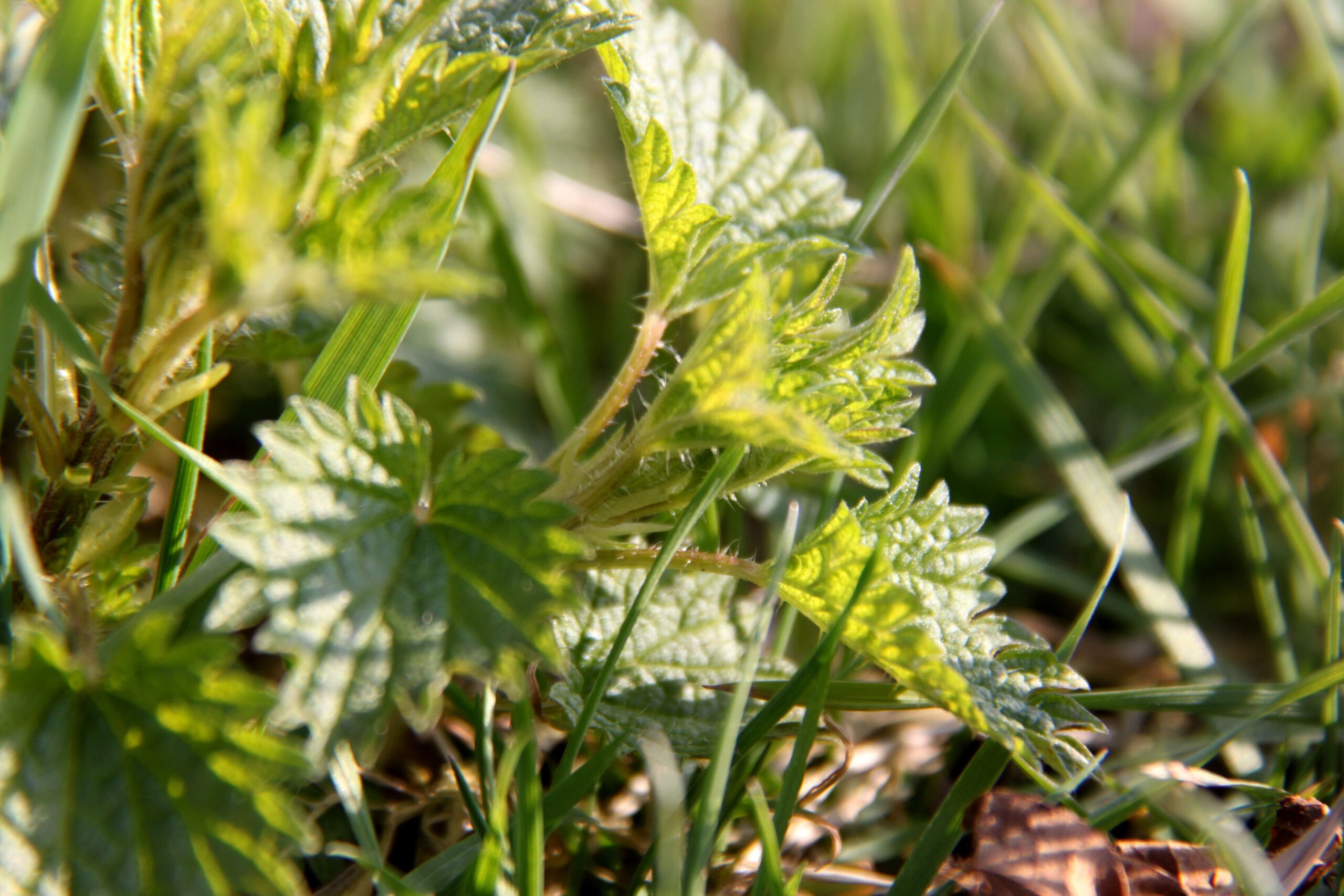 kywf0kywf0jpg-1-scaled_main