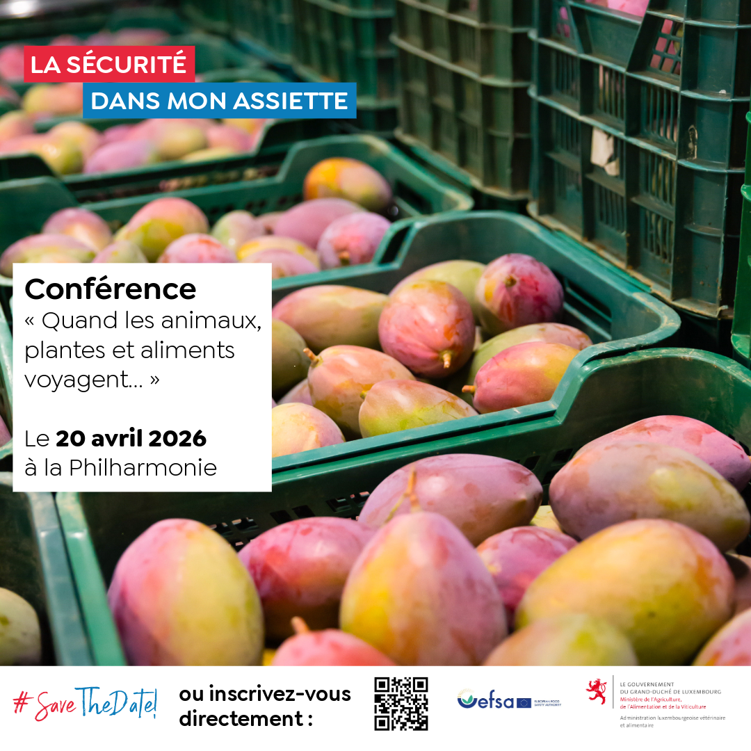 S-curit-DansMonAssiette-2026-social-media-mango_main