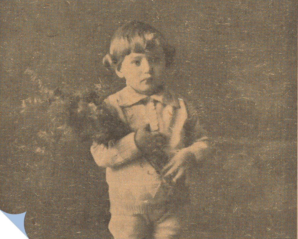 20260224-Gaardeliteratur_main