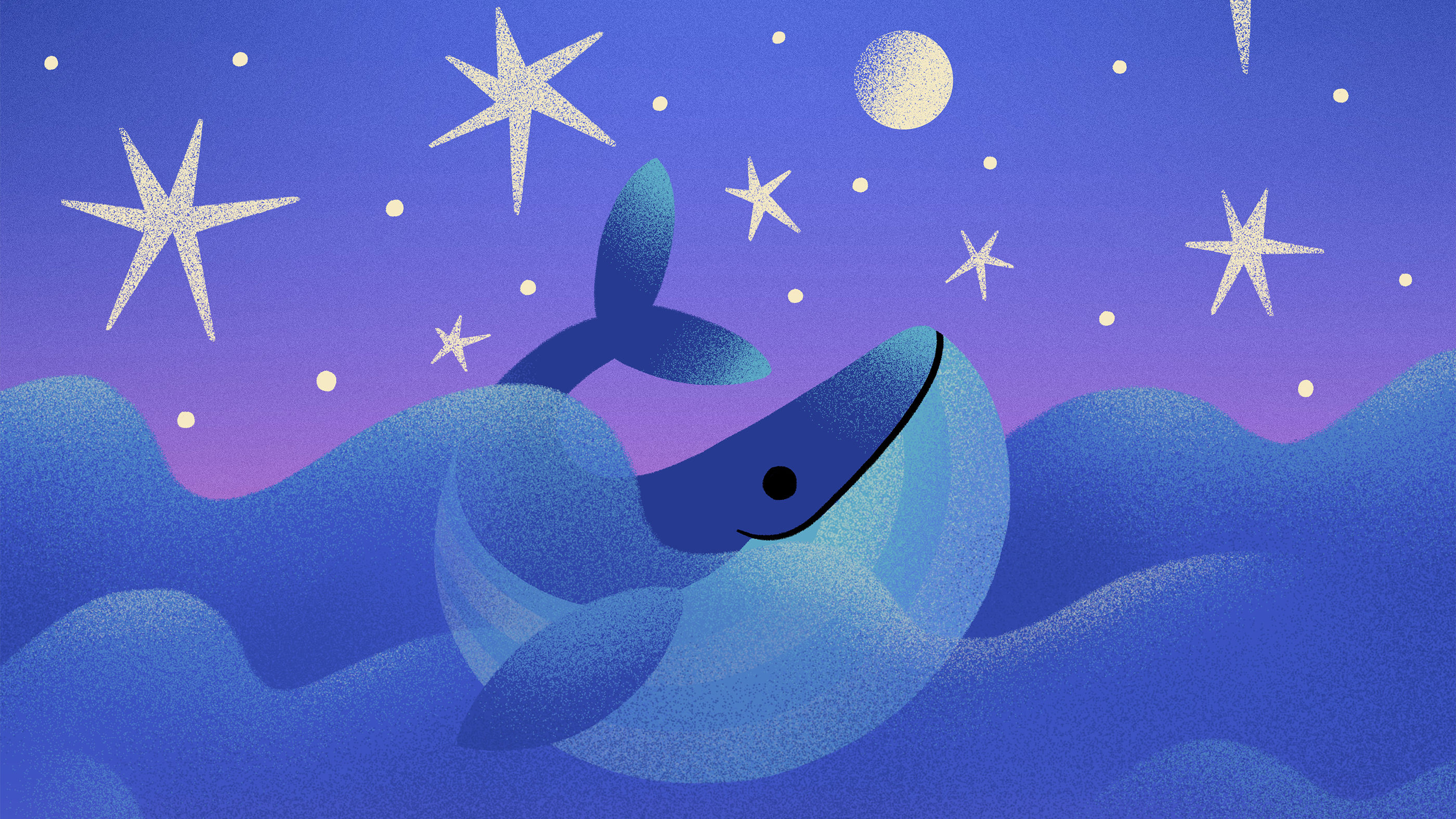 der-einsamste-wal-der-welt_2800x1575_main