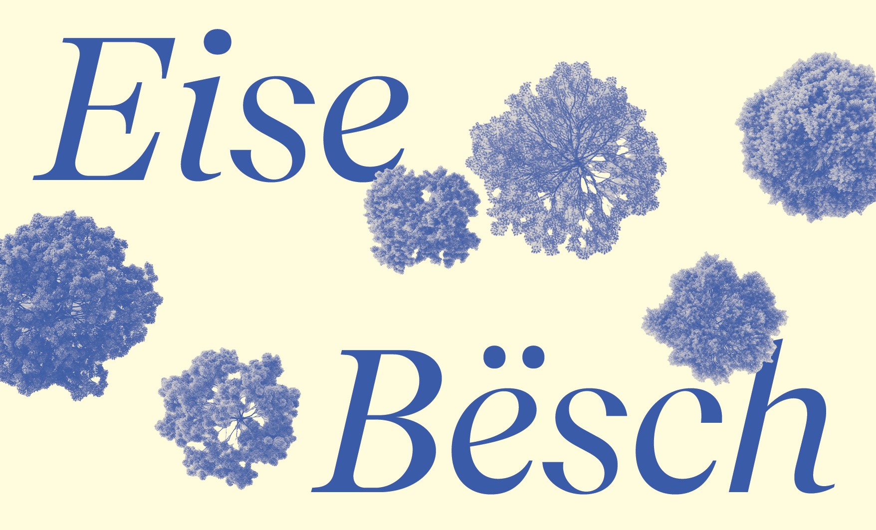 CC-Foret_Banners4_main