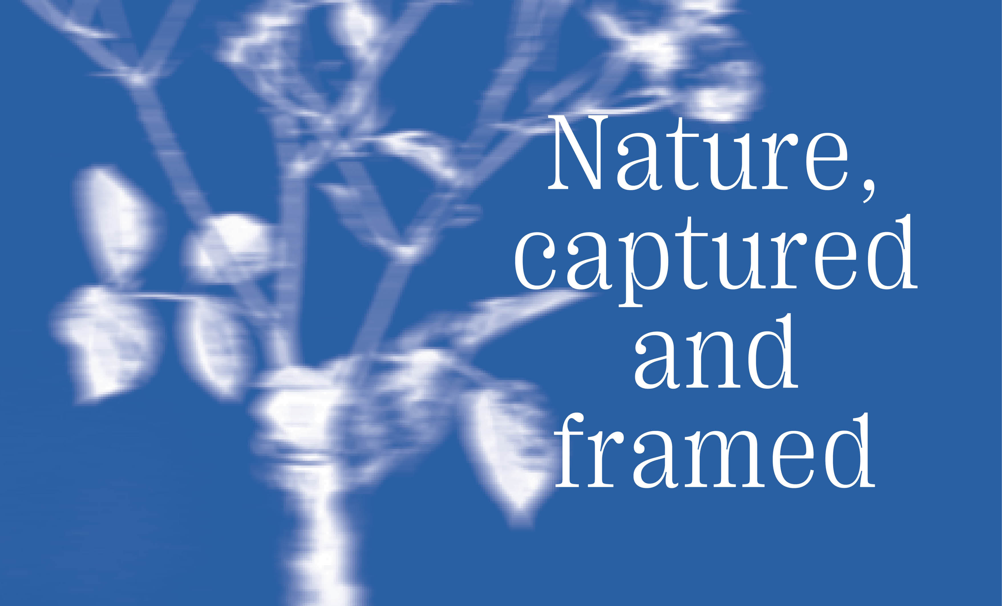 20250520_Nature-captured-framed_843-510_main