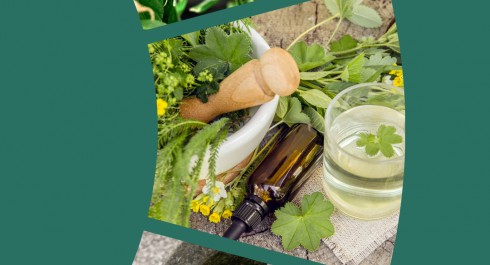 to4czto4czpng-1_main